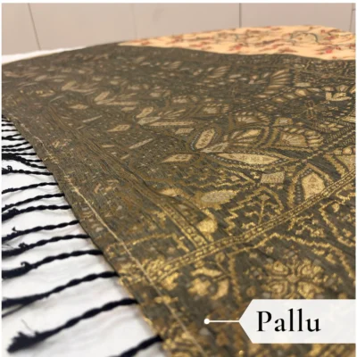 Cotton Kasuti Woven Saree — Beige — full length view