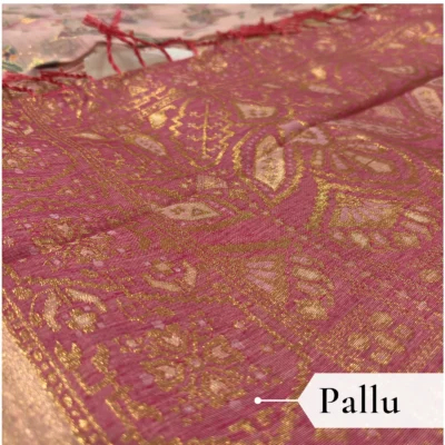 Cotton Kasuti Woven Saree — Peach — full length view