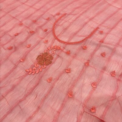 Viscose Chiffon Embroidered Saree — Carrot Red — border and pallu
