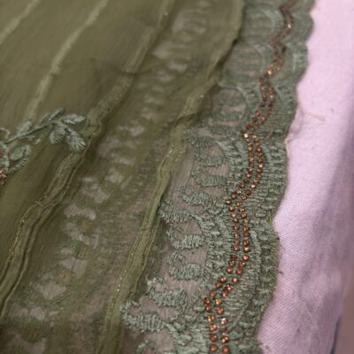 Viscose Chiffon Embroidered Saree — Mehandi Green — border and pallu