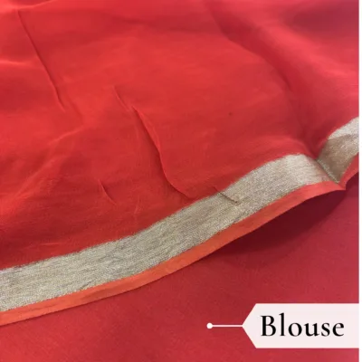 Viscose Georgette Hans Embroidered Saree — Rust Orange - Image 6